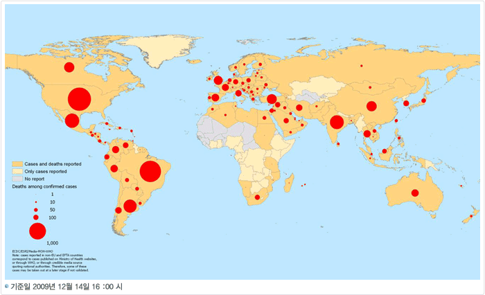 신종플루사망자_20091214