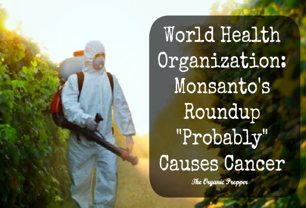 WHO-says-Round-up-probably-causes-cancer_small
